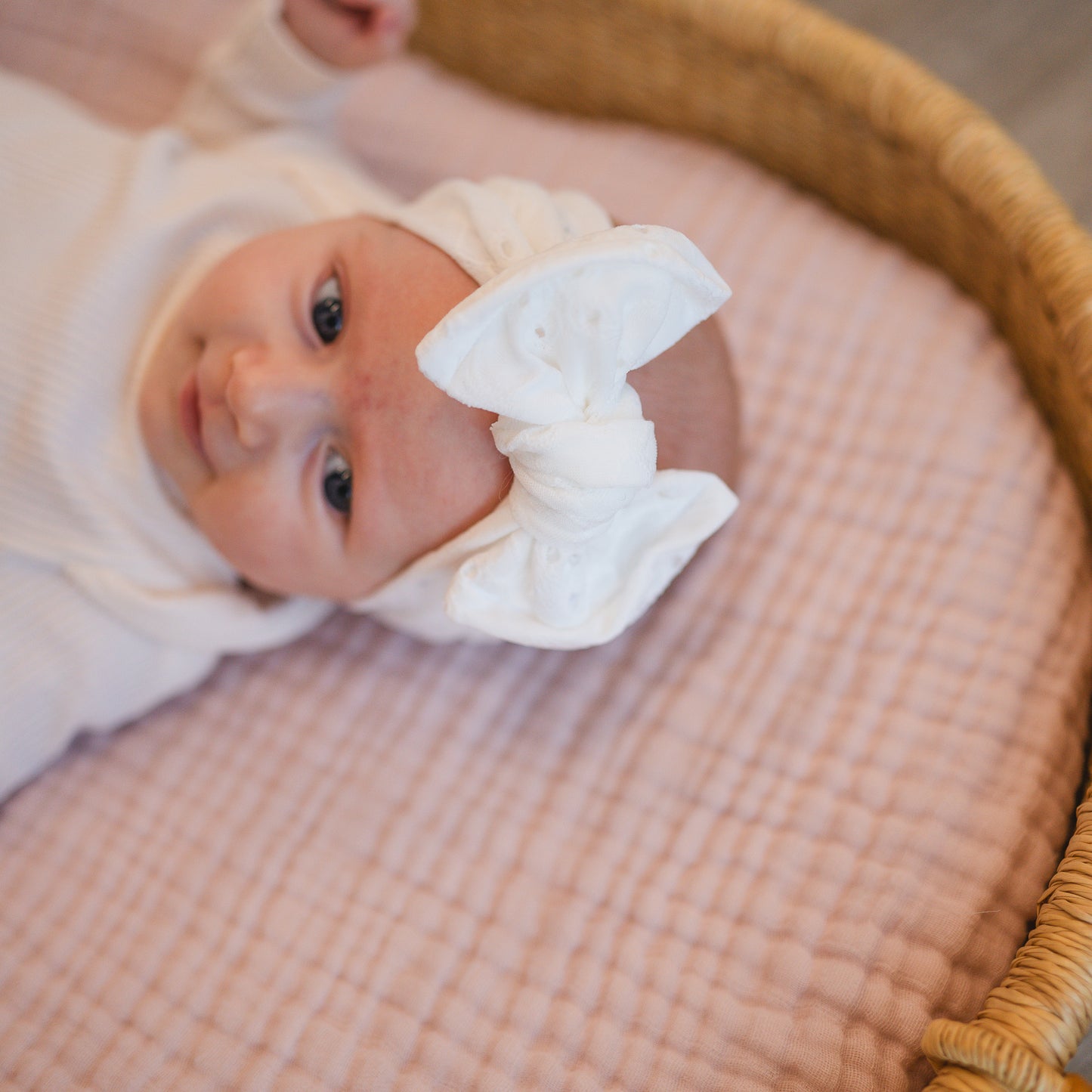 Jolly & Bright π
π» | Holiday Baby Bow Bundle (Classic Holiday Cheer)