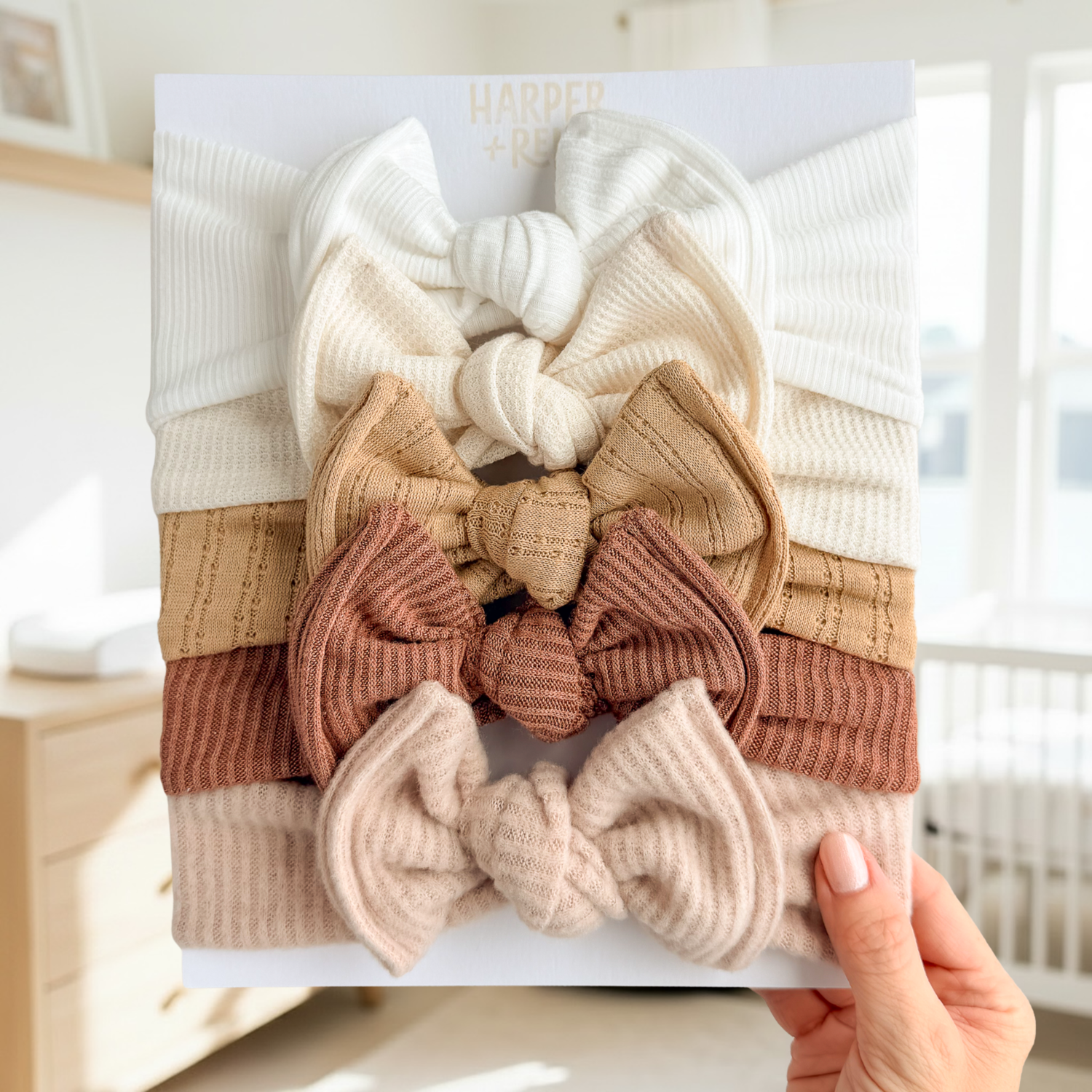 Solid Basics Bundles