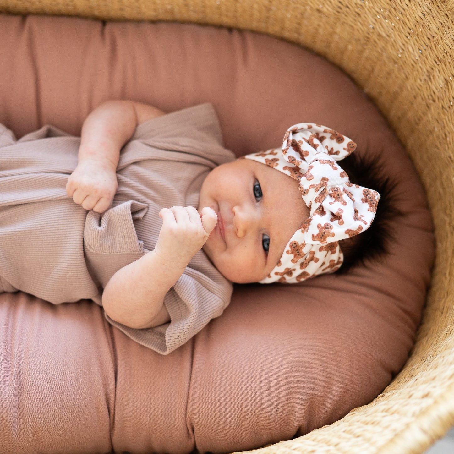 Gingerbread Dreams | Holiday Baby Bow Bundle (Cozy Classics)